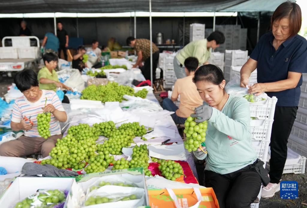 九线拉王游戏技巧
